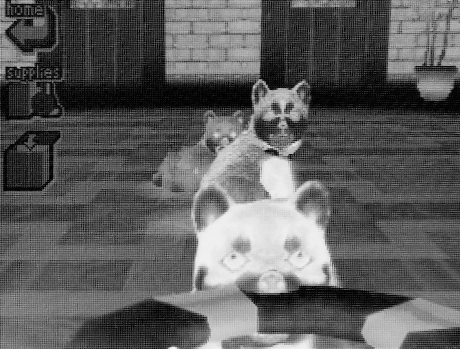 圖 3.6 玩家遊玩《Nintendogs》的畫面。